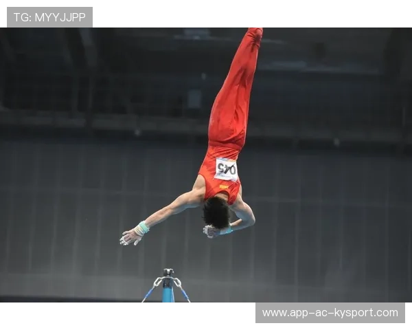 青年体操队在地区比赛中展现高难动作 获裁判称赞,全国青年体操锦标赛